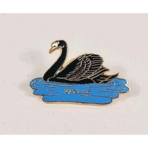 Manlius Swan Pin New York Town Near Syracuse Manlius Swan Park Fountain